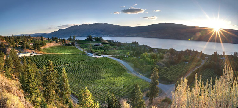 Haywire Winery Summerland British Columbia